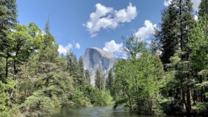 Planning the Ultimate Fall Trip to Yosemite National Park