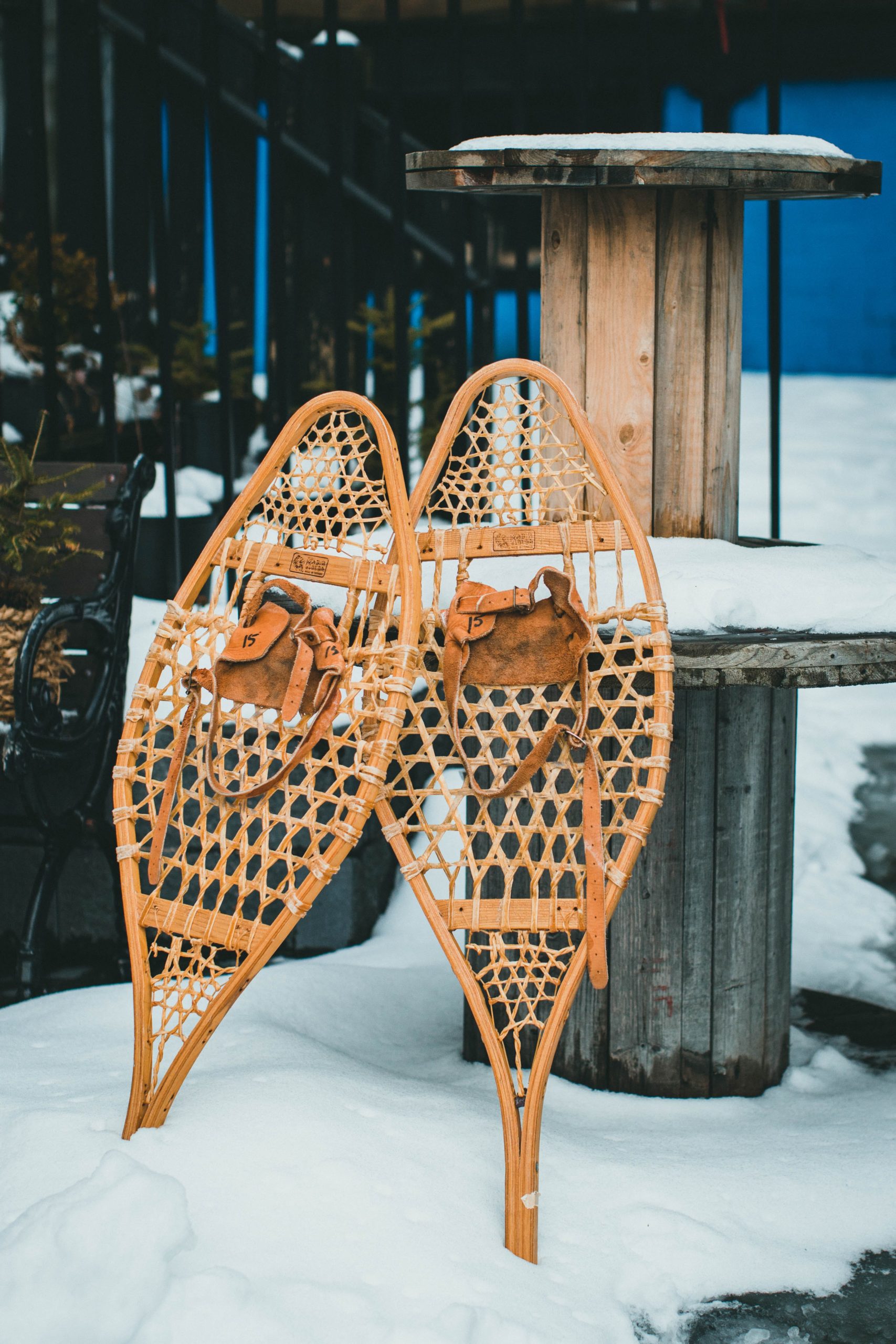 Snowshoe Image by Jonathan Cooper